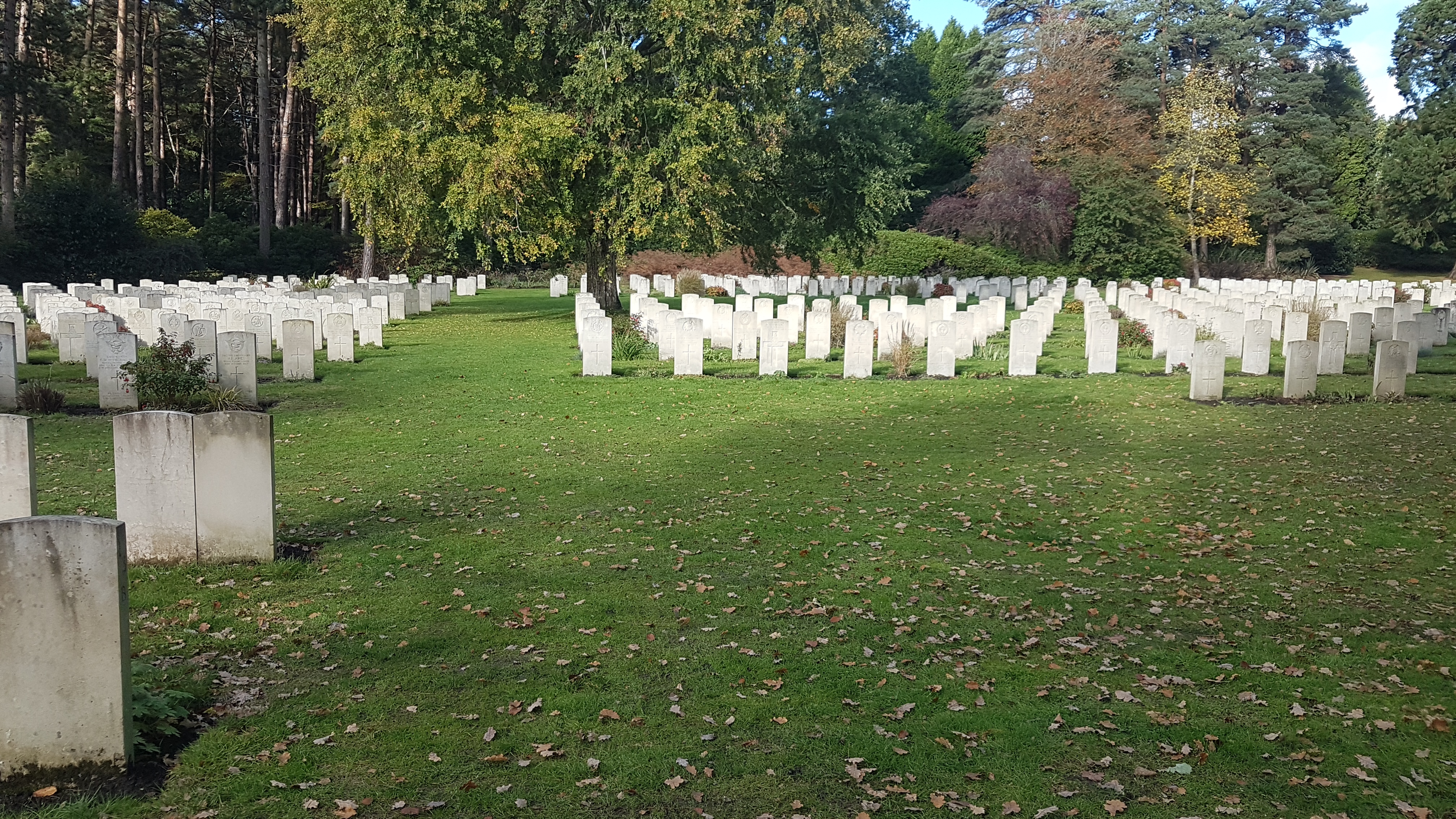 La sezione britannica del Brookwood Military Cemetery