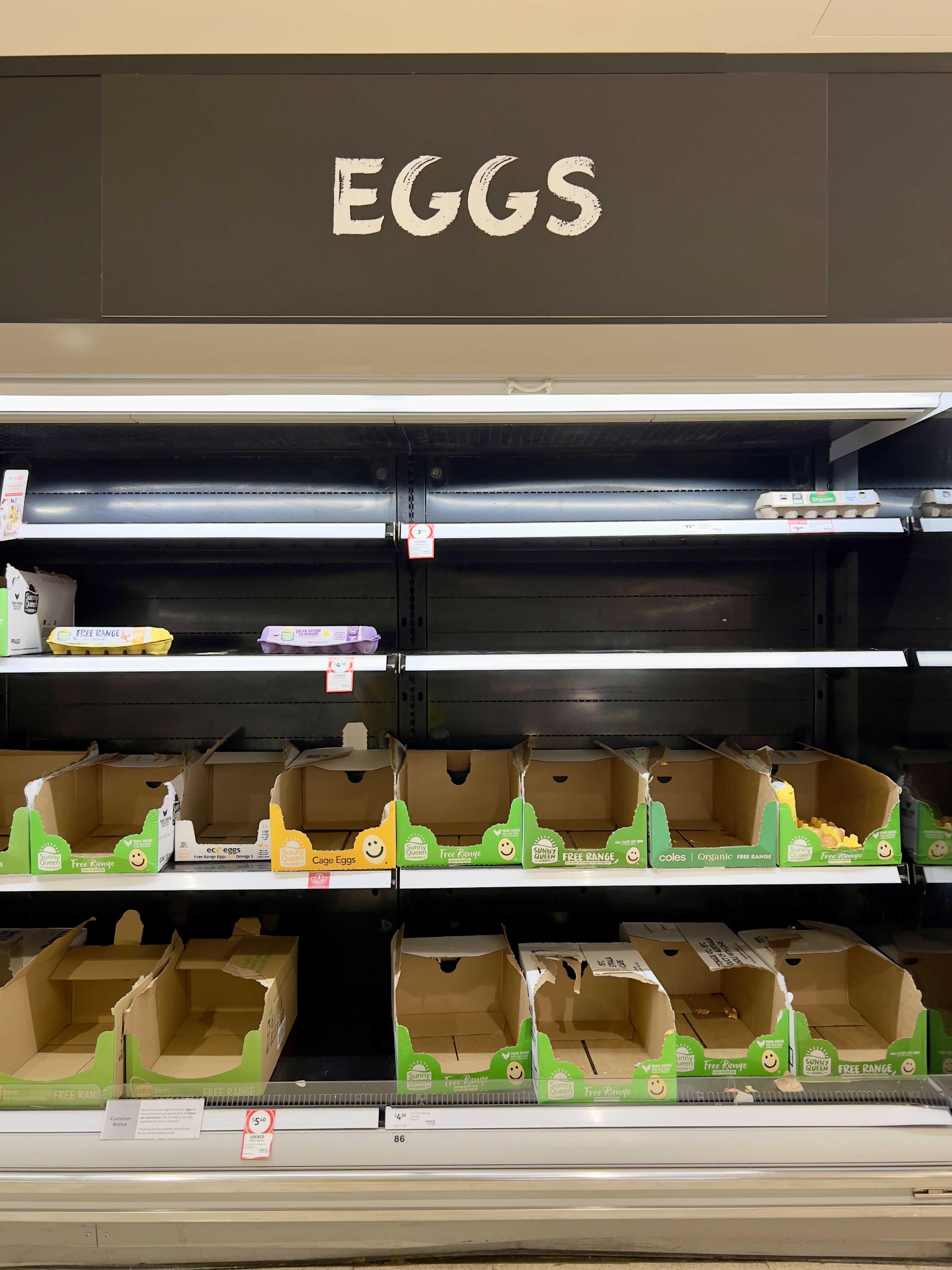 Crisi delle uova in Uk, cosa c'è dietro, e per quanto durerà?
